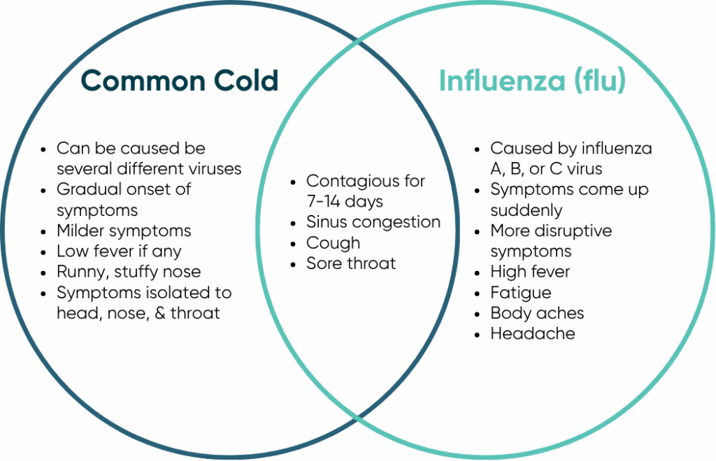 Ven diagram describing the difference between a common cold and the flu. 